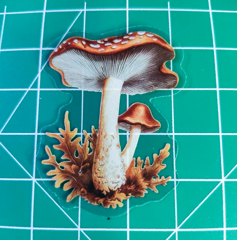 5 Mushroom Vinyl Clear 2" Sticker Lot Window decal Craft DIY Psychedelic Farm - Image 2