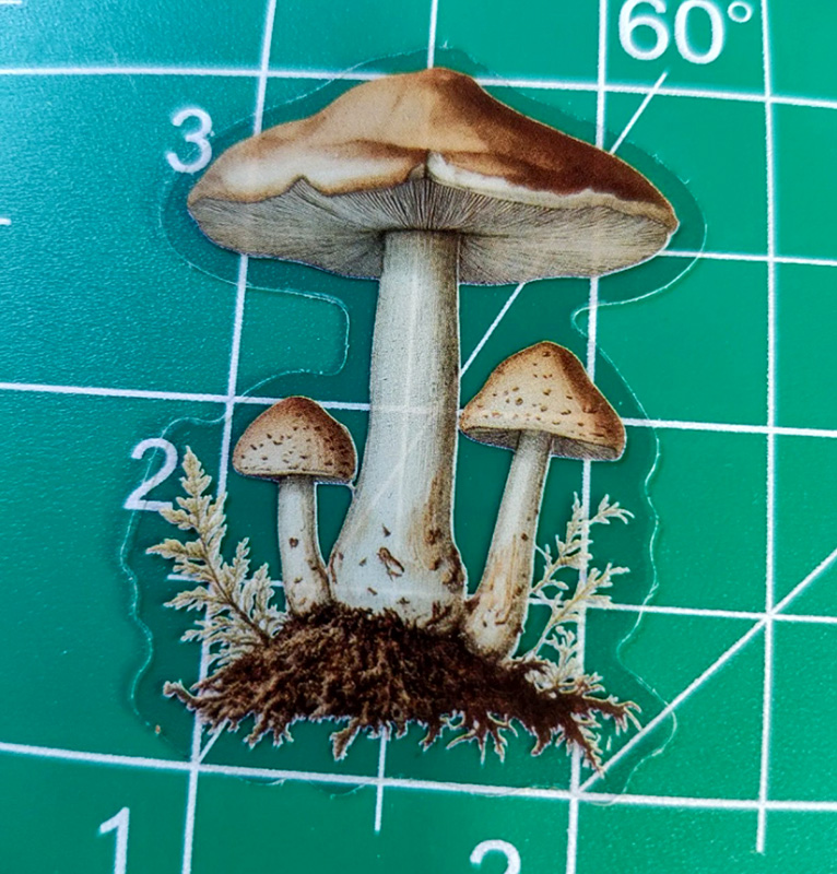 5 Mushroom Vinyl Clear 2" Sticker Lot Window decal Craft DIY Psychedelic Farm - Image 3