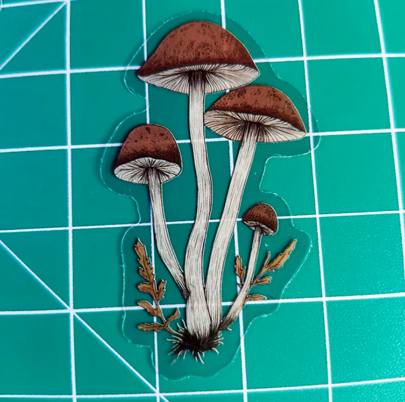 5 Mushroom Vinyl Clear 2" Sticker Lot Window decal Craft DIY Psychedelic Farm - Image 4