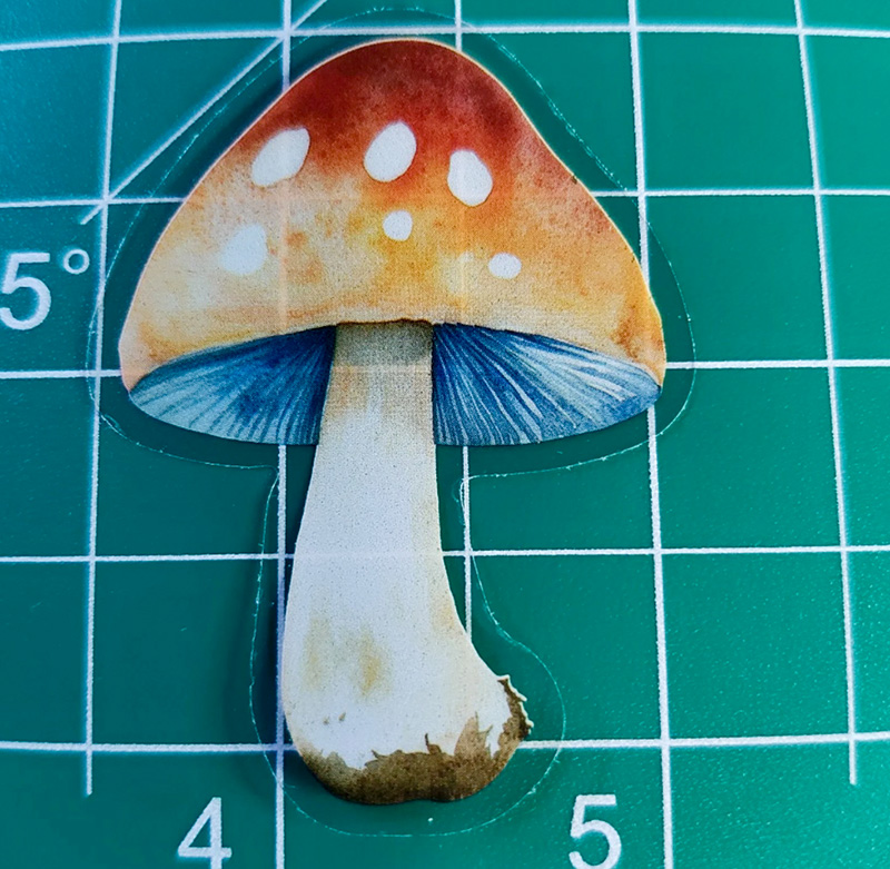 5 Mushroom Vinyl Clear 2" Sticker Lot Window decal Craft DIY Psychedelic Farm - Image 5