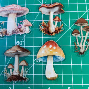 5 Mushroom Vinyl Clear 2" Sticker Lot Window decal Craft DIY Psychedelic Farm