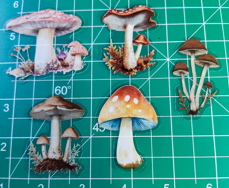 5 Mushroom Vinyl Clear 2" Sticker Lot Window decal Craft DIY Psychedelic Farm
