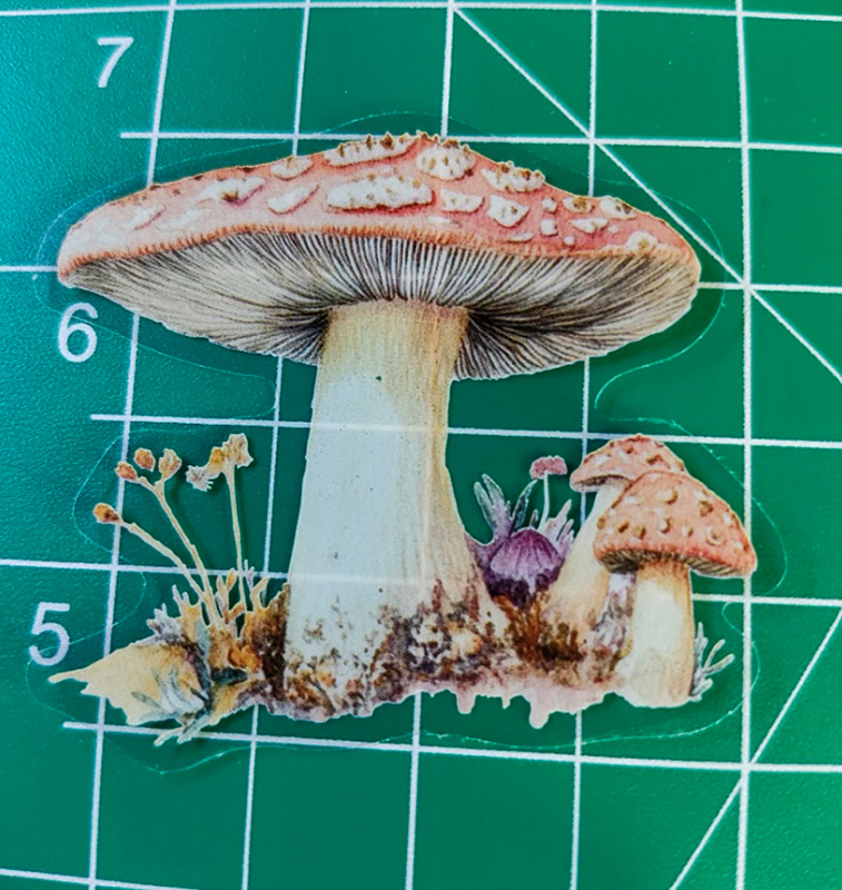 5 Mushroom Vinyl Clear 2" Sticker Lot Window decal Craft DIY Psychedelic Farm - Image 7